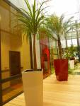 DA SILVA AUGUSTO - AD ARCHITECTE